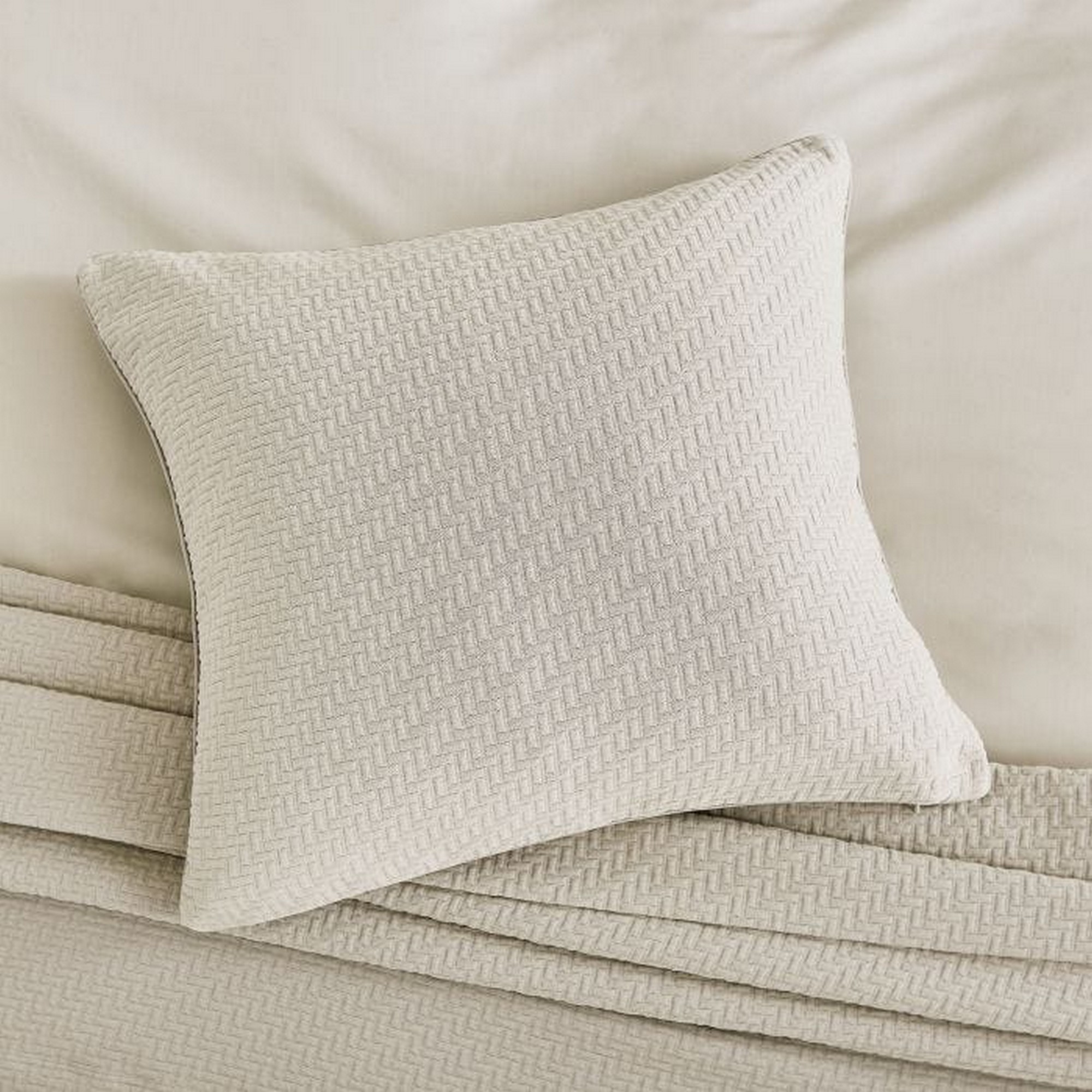 Andaz Feather Fine Linens Cotton Cushion In Linen